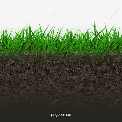 Grass Soil PNG Picture, Soil Under The Grass Background, Grass Clipart ...