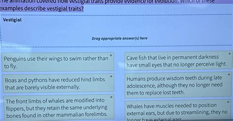 Solved examples describe vestigial traits?VestigialDrag | Chegg.com