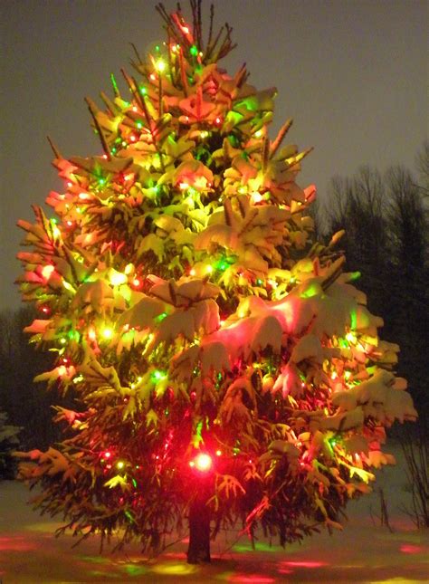 The History of Christmas Tree Lights | Christmas Canada