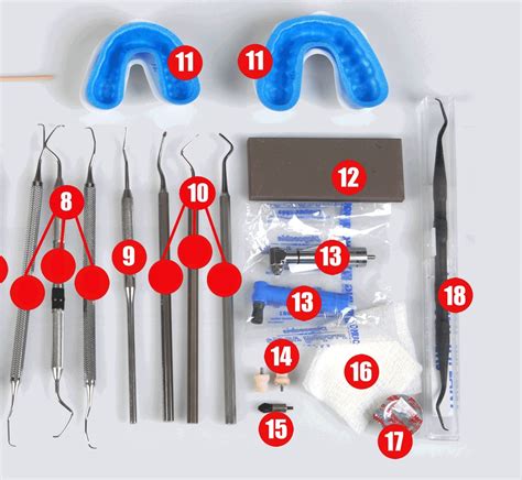 Prophylaxis and Coronal Polishing Tray Part 2 Diagram | Quizlet