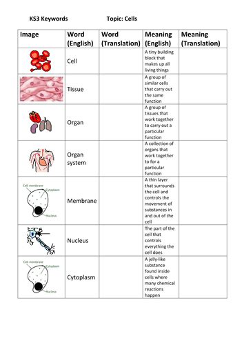 KS3 Science Literacy Homework Differentiated EAL SEN by martinblake1 - Teaching Resources - Tes