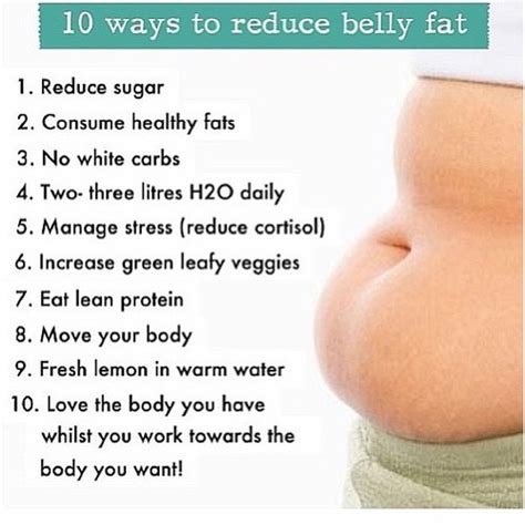 Best Diet Plan: how to lose belly fat