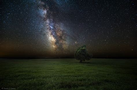 Green grass field, landscape, trees, field, night HD wallpaper | Wallpaper Flare