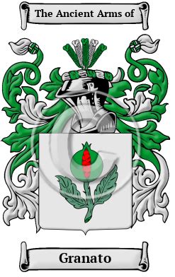 Granato Name Meaning, Family History, Family Crest & Coats of Arms