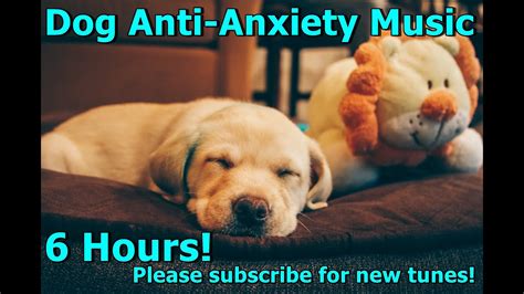 ZzZzZ Anti-Anxiety Music for Dog - YouTube