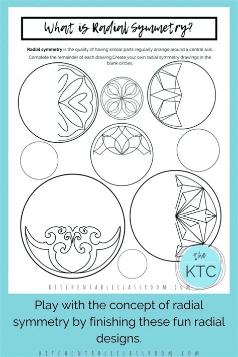 radial symmetry art worksheet - carracewallpaperhd