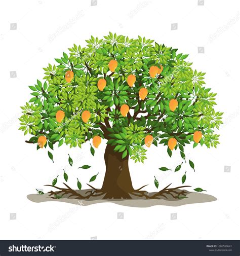 3,661 Mango Tree Vector Images, Stock Photos & Vectors | Shutterstock