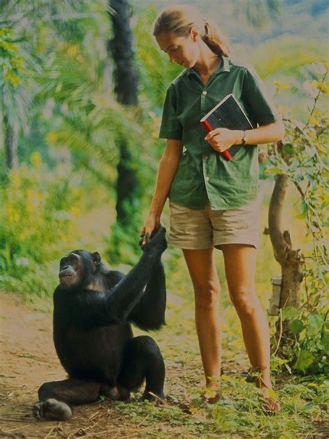 ‘Jane’: 5 amazing things about the Jane Goodall documentary - National ...