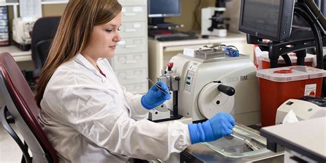 histotechnology programs in florida – CollegeLearners.com