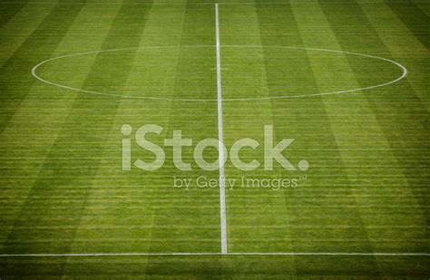 Natural Green Grass Soccer Field Stock Photo | Royalty-Free | FreeImages