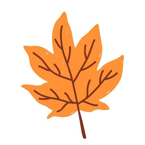 Premium Vector | Autumn orange leaf isolated on white background hand ...