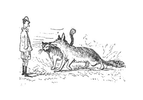 The Fox and the Cat - Wikipedia