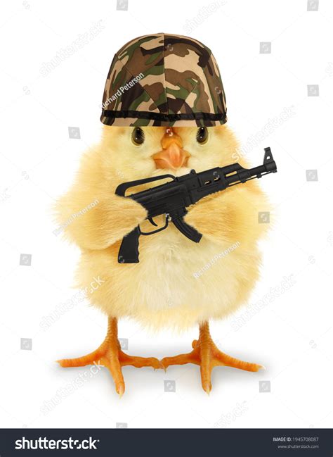 1,108 Military Jokes Images, Stock Photos, 3D objects, & Vectors | Shutterstock