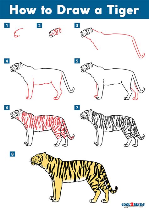 Tiger Drawing Step By Step