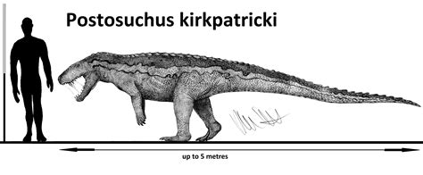 The real Postosuchus : r/Naturewasmetal