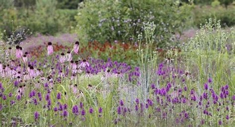 Delaware Botanic Gardens seeks funds for Meadow Garden | Cape Gazette