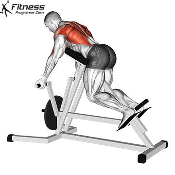 How To Do Lever T-Bar Row | Muscles Worked And Benefits