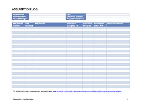 What is an Assumption Log? — Hatchett Project