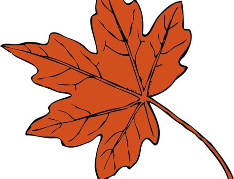 Leaves Clipart Leef - Thanksgiving Leaf Clip Art - Png Download - Full Size Clipart (#1515793 ...