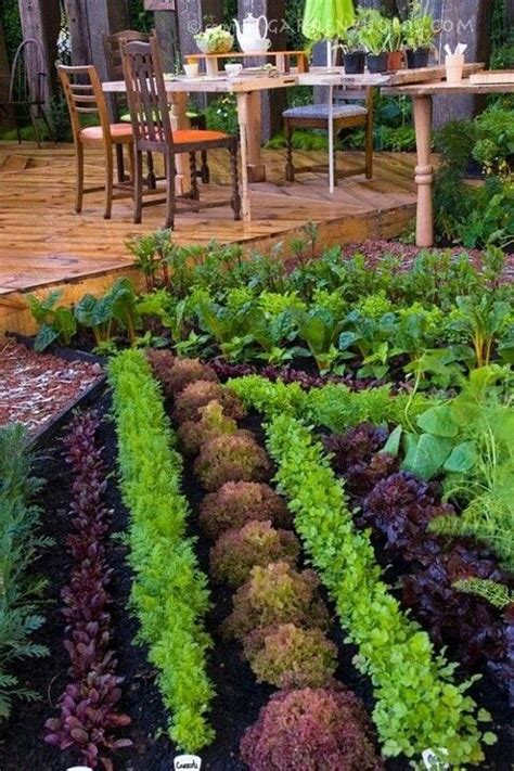 Square foot gardening | Edible garden, Garden inspiration, Outdoor gardens