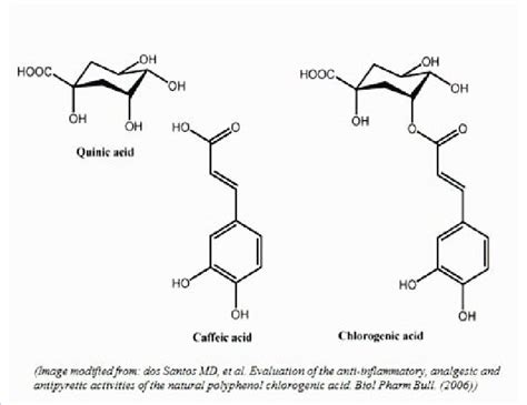 Chlorogenic acid chemical structure Figure 2: The brain reward... | Download Scientific Diagram