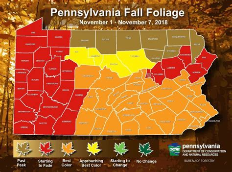 Pennsylvania Fall Foliage Map 2024 Pdf - Jolyn Madonna