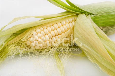 Ear Of Corn Partially Shucked Stock Photo | Royalty-Free | FreeImages