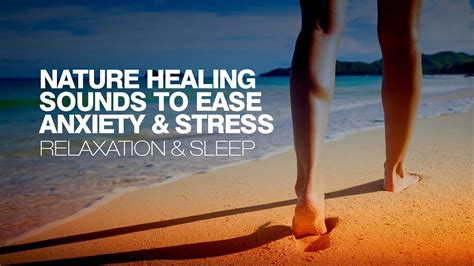 Nature Healing Sounds to Ease Anxiety & Stress - Relaxation & Sleep Music 🎧 - YouTube