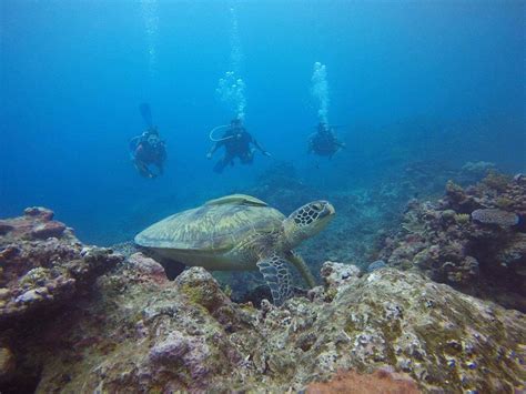 THE 15 BEST Things to Do in Apia - 2022 (with Photos) - Tripadvisor