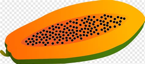 Papaya, Fruit, Vector, png | PNGWing