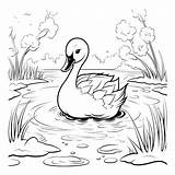 Page 8  Coloring Swan Pages Images Free Download On Freepik sketch template