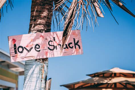 Love shack sign on a palm tree 1862230 Stock Photo at Vecteezy