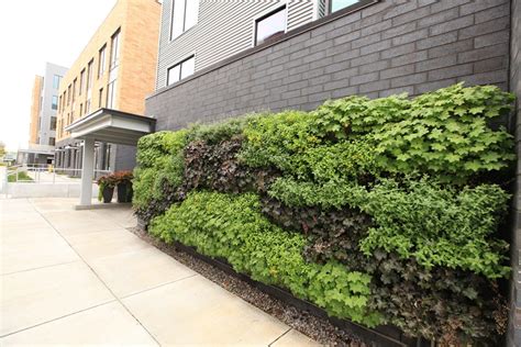 Outdoor - LiveWall Vertical Plant Wall System