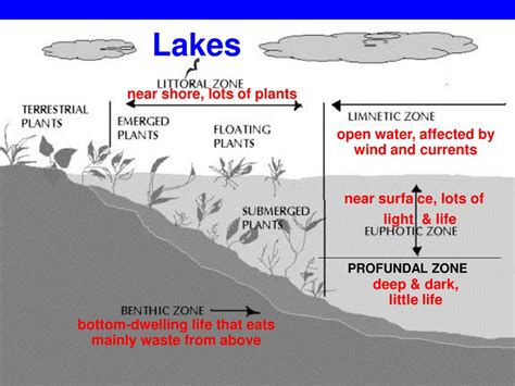 Freshwater Systems less than 1% of the water on Earth is available for ...