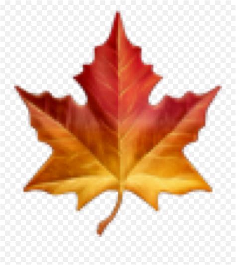 Fall Autumn Emoji Leaf Sticker By Thank U - Maple Leaf Emoji ...