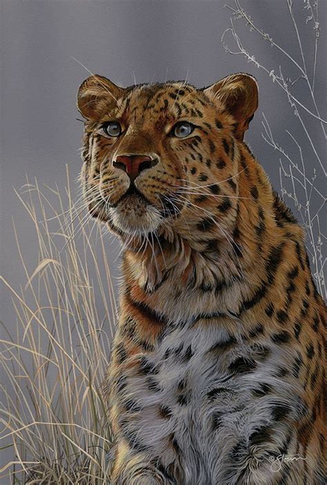 Amur Leopard - Wildlife painting by Scot Storm | Фотография питомца ...