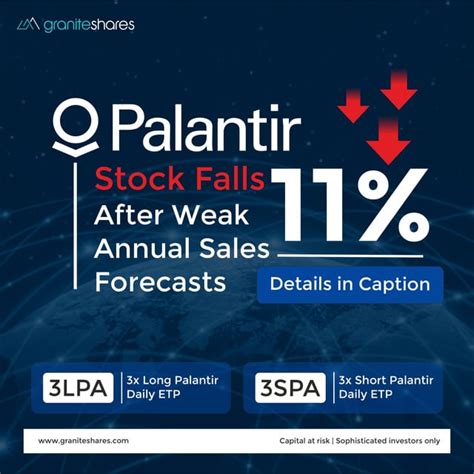 Palantir Q1 Earnings 2024: Palantir’s Stock Falls 11% After Weak Annual ...