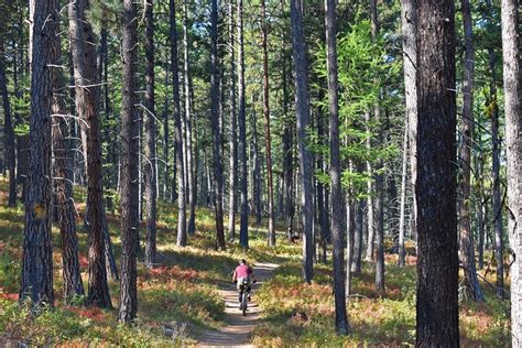 12 Best Hiking Trails near Missoula, MT | PlanetWare