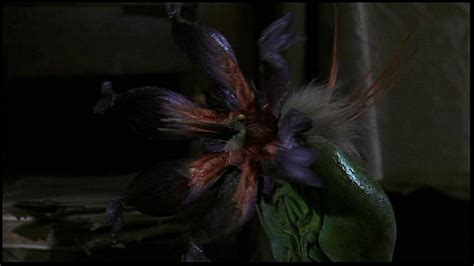 Purple Flower | Jumanji Wiki | FANDOM powered by Wikia