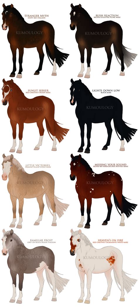 thoroughbred pack [CLOSED] by Kumoulogy on DeviantArt | Horse coat ...