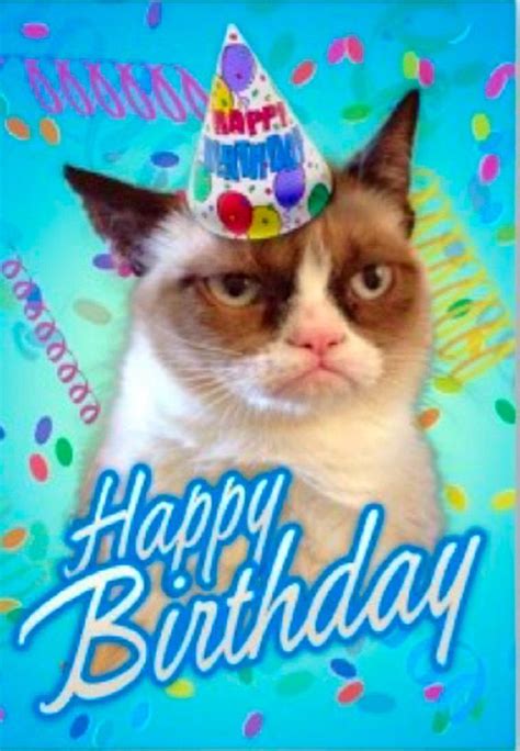 Pin by Bridgette Kearns on Angry cat | Grumpy cat birthday, Cat ...