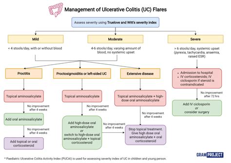 Management of Ulcerative Colitis (UC) Flares - Gram Project