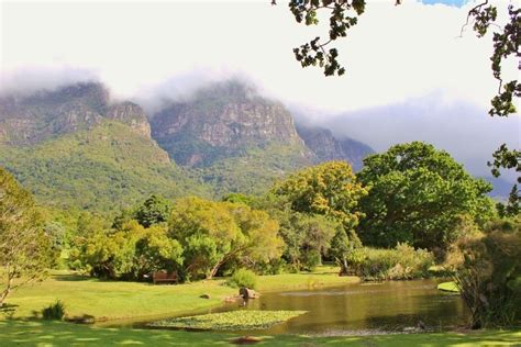 Visiting Kirstenbosch Botanical Garden in Cape Town - Jetsetting Fools