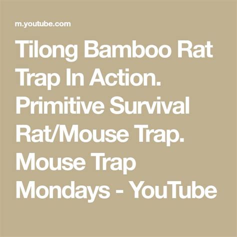 Tilong Bamboo Rat Trap In Action. Primitive Survival Rat/Mouse Trap ...