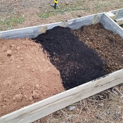 3 Raised Bed Soil Mixes Compared - The Beginner's Garden | Organic ...