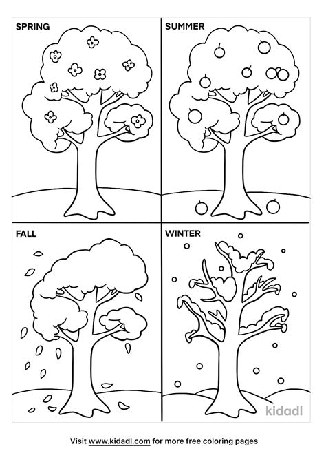 Four Seasons Of A Tree Coloring Page | Free Seasons Coloring Page | Kidadl