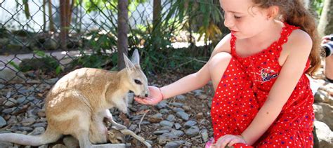 Wildlife Habitat port Douglas-Things to do-CairnsAustralia.com