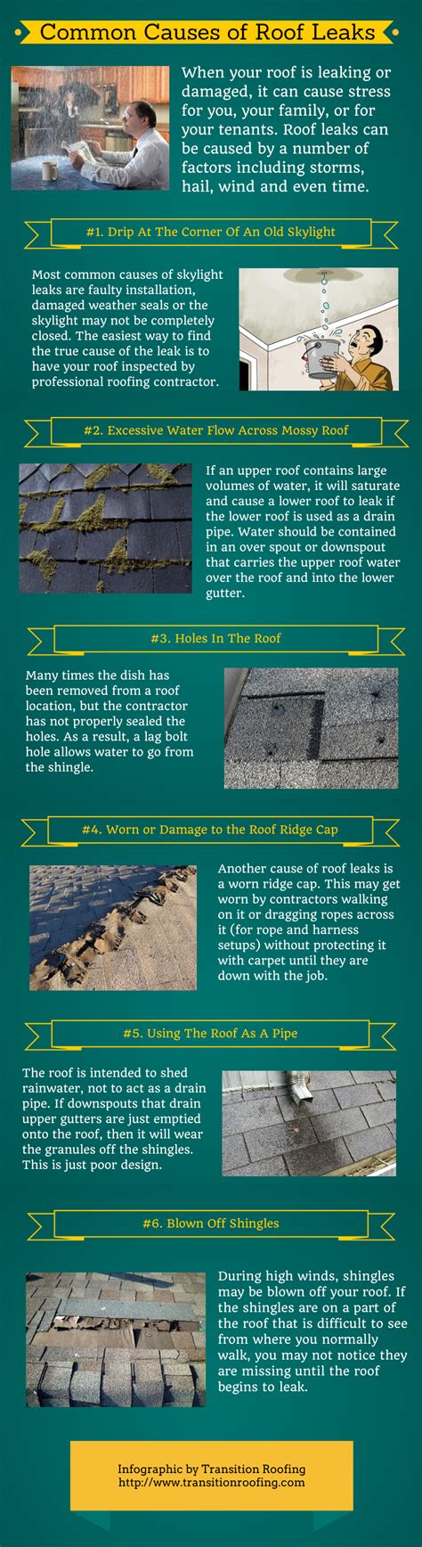 Common Causes of Roof Leaks (infographic) | Leaking roof, Infographic ...