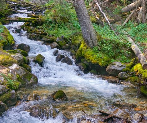 Twin Lakes, Gorgeous, Challenging, Hiking Hope Pass! - Crazy About Colorado