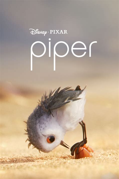 Piper (2016) HD Wallpaper From Gallsource.com | Animation movie, Piper pixar, Full movies